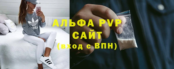 СК Зерноград