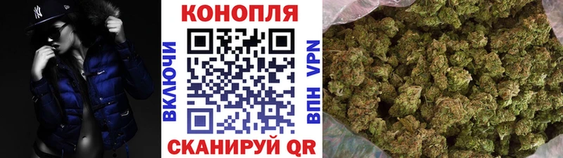 Купить где  Зверево  Конопля семена 